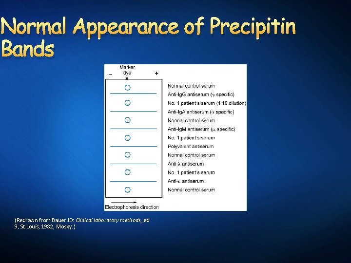 Normal Appearance of Precipitin Bands (Redrawn from Bauer JD: Clinical laboratory methods, ed 9,