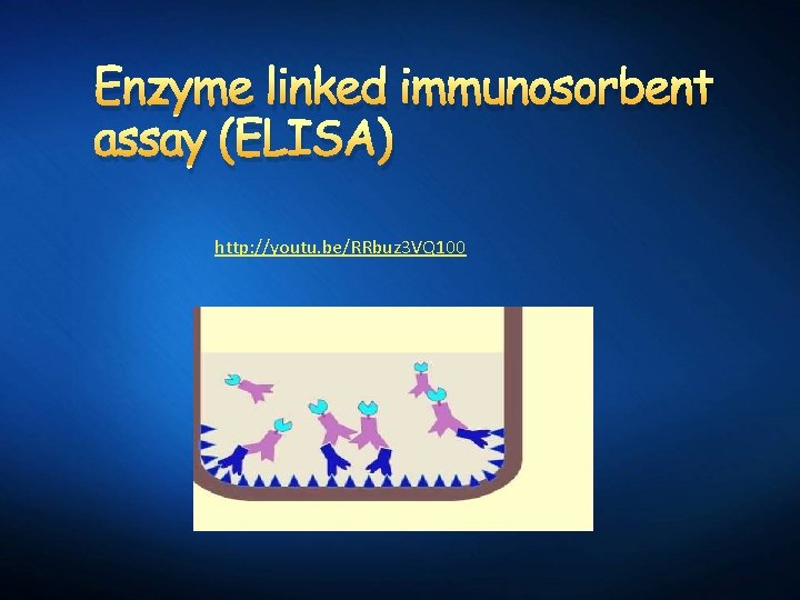 Enzyme linked immunosorbent assay (ELISA) http: //youtu. be/RRbuz 3 VQ 100 