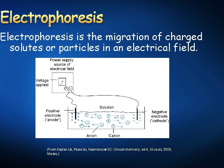 Electrophoresis is the migration of charged solutes or particles in an electrical field. (From