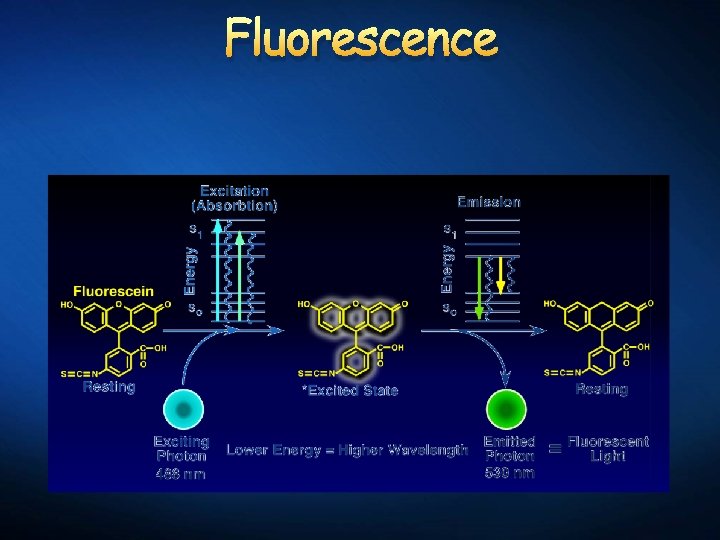 Fluorescence 