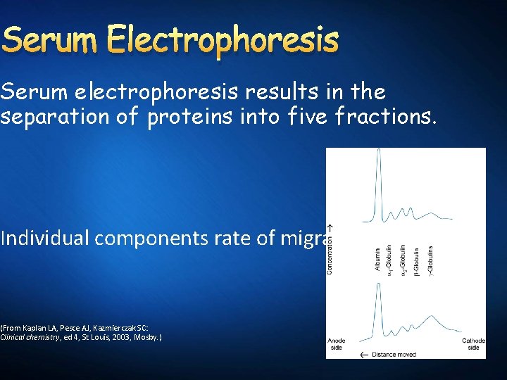 Serum Electrophoresis Serum electrophoresis results in the separation of proteins into five fractions. Individual