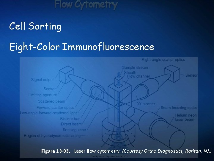 Flow Cytometry Cell Sorting Eight-Color Immunofluorescence Figure 13 -03. Laser flow cytometry. (Courtesy Ortho