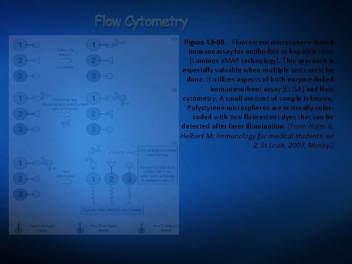 Flow Cytometry Figure 13 -05. Fluorescent microsphere–based immunoassay for antibodies to hepatitis virus (Luminex