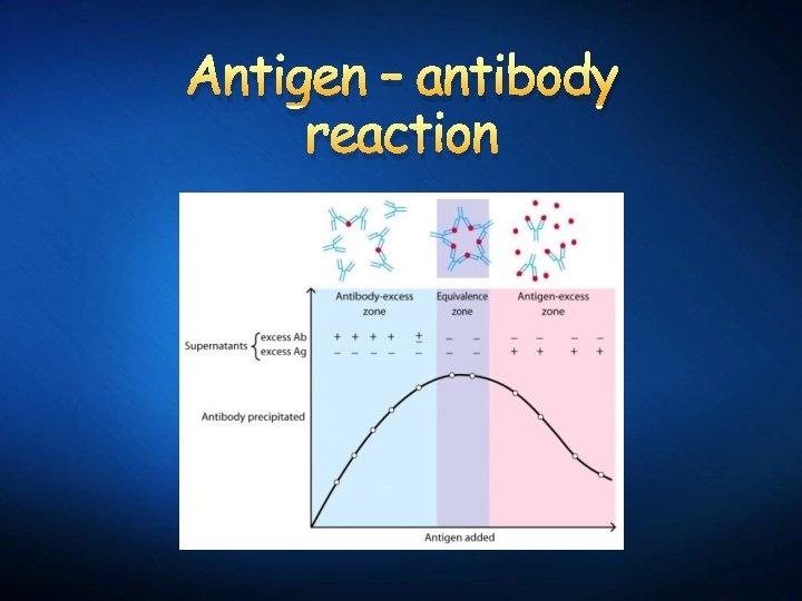 Antigen – antibody reaction 