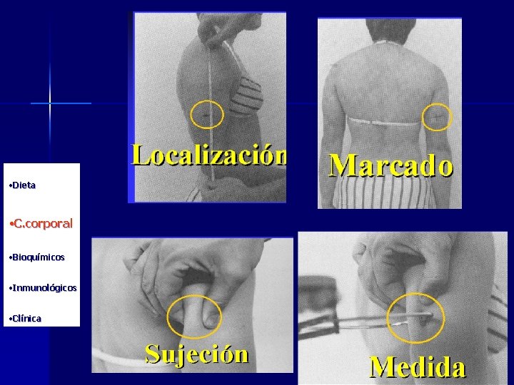  • Dieta • C. corporal • Bioquímicos • Inmunológicos • Clínica 