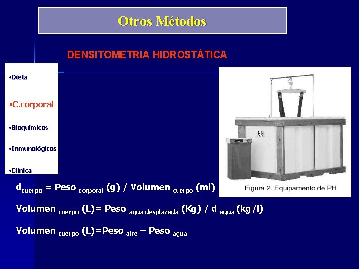 Otros Métodos DENSITOMETRIA HIDROSTÁTICA • Dieta • C. corporal • Bioquímicos • Inmunológicos •