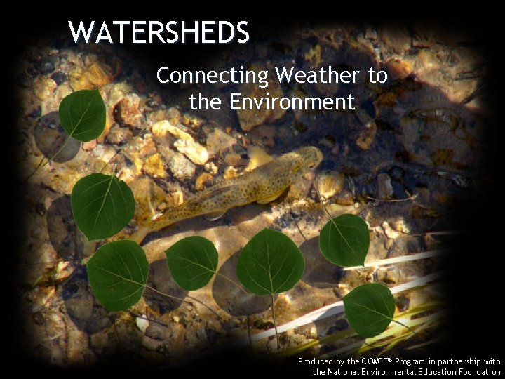 WATERSHEDS Connecting Weather to the Environment Produced by the COMET® Program in partnership with