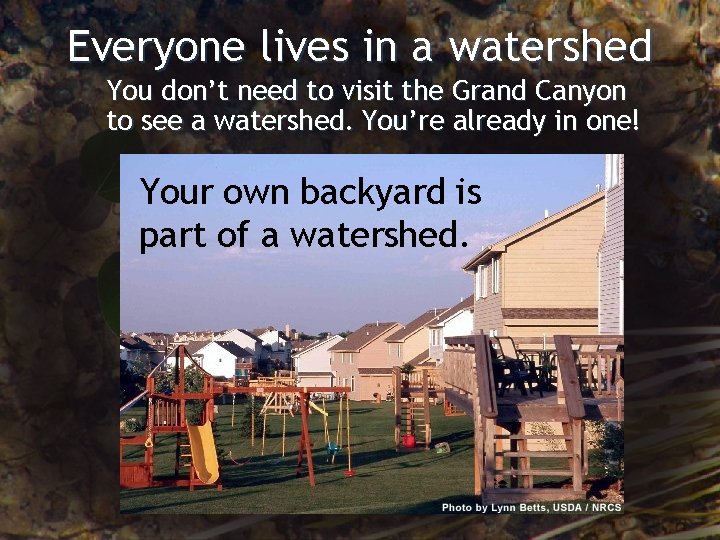 Everyone lives in a watershed You don’t need to visit the Grand Canyon to