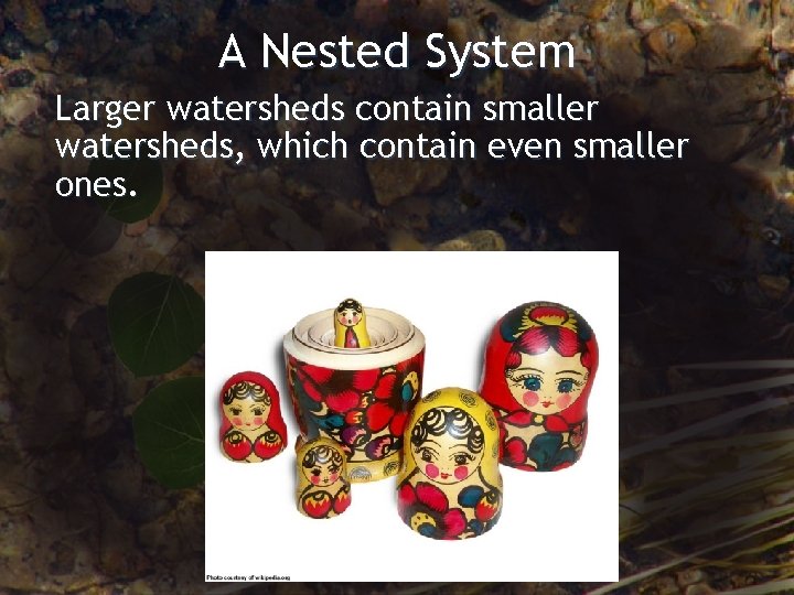 A Nested System Larger watersheds contain smaller watersheds, which contain even smaller ones. 