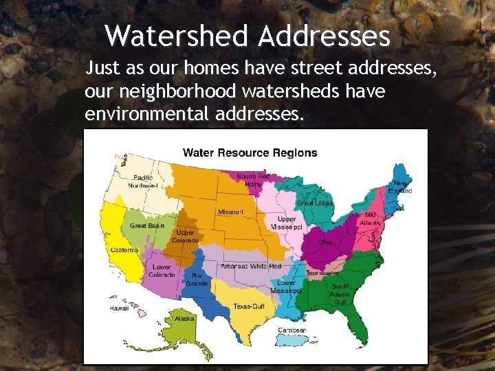 Watershed Addresses Just as our homes have street addresses, our neighborhood watersheds have environmental