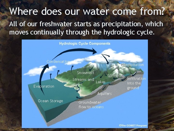 Where does our water come from? All of our freshwater starts as precipitation, which