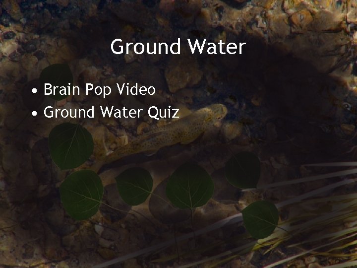 Ground Water • Brain Pop Video • Ground Water Quiz 