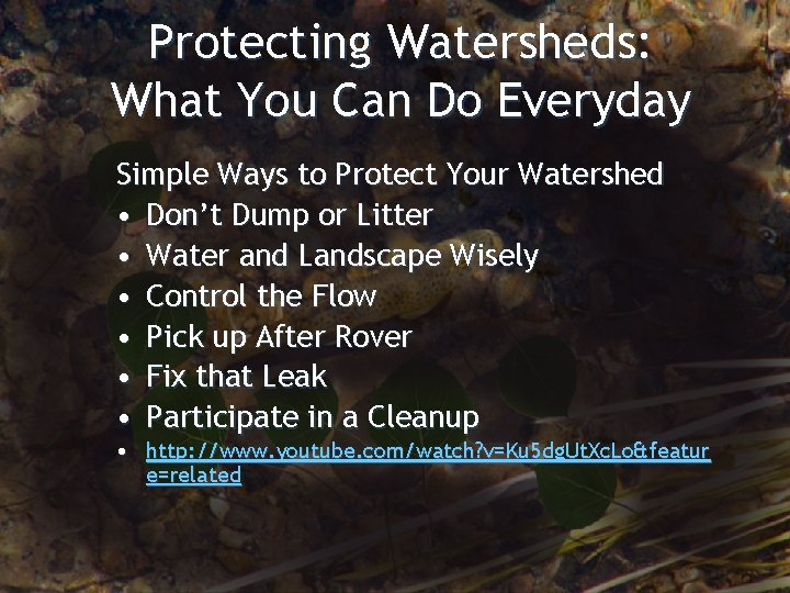 Protecting Watersheds: What You Can Do Everyday Simple Ways to Protect Your Watershed •