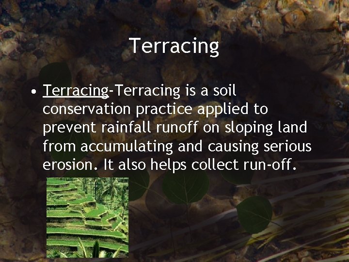 Terracing • Terracing-Terracing is a soil conservation practice applied to prevent rainfall runoff on