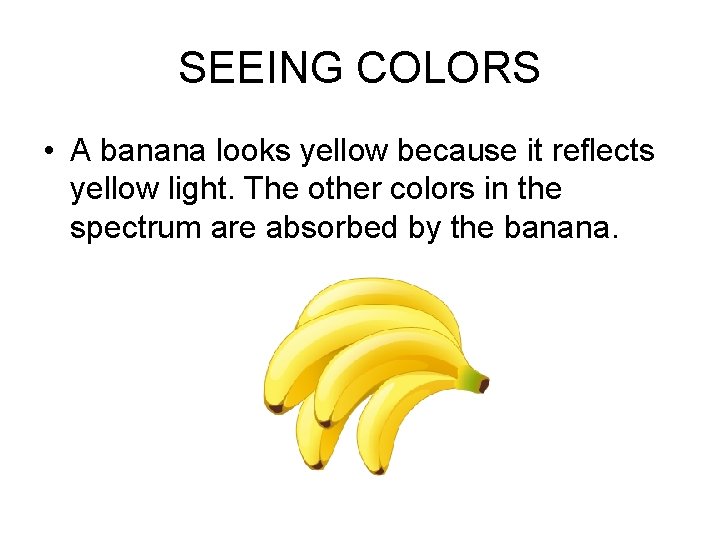 SEEING COLORS • A banana looks yellow because it reflects yellow light. The other SEEING COLORS • A banana looks yellow because it reflects yellow light. The other