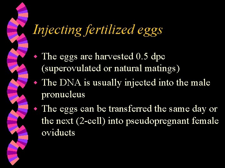 Injecting fertilized eggs The eggs are harvested 0. 5 dpc (superovulated or natural matings)