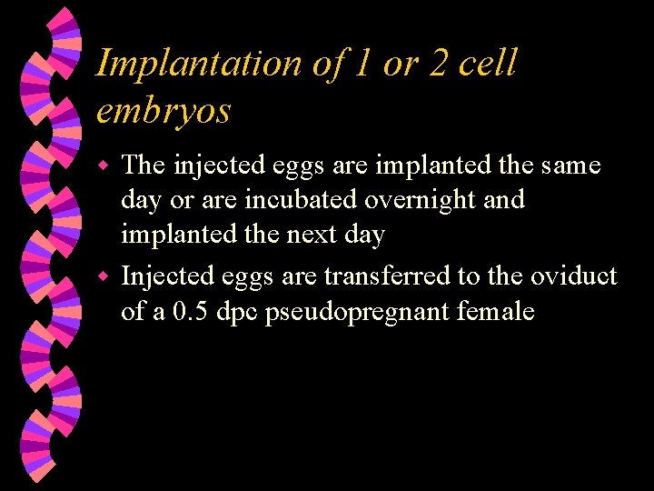 Implantation of 1 or 2 cell embryos The injected eggs are implanted the same