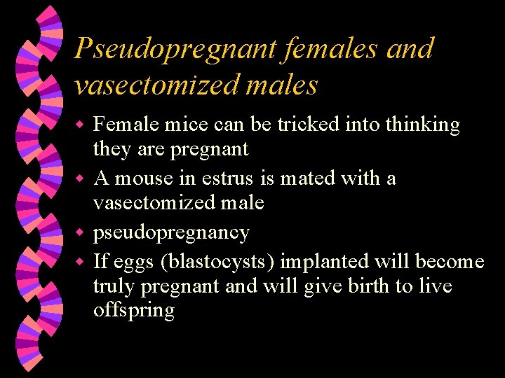 Pseudopregnant females and vasectomized males Female mice can be tricked into thinking they are