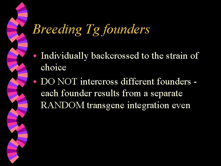 Breeding Tg founders Individually backcrossed to the strain of choice w DO NOT intercross