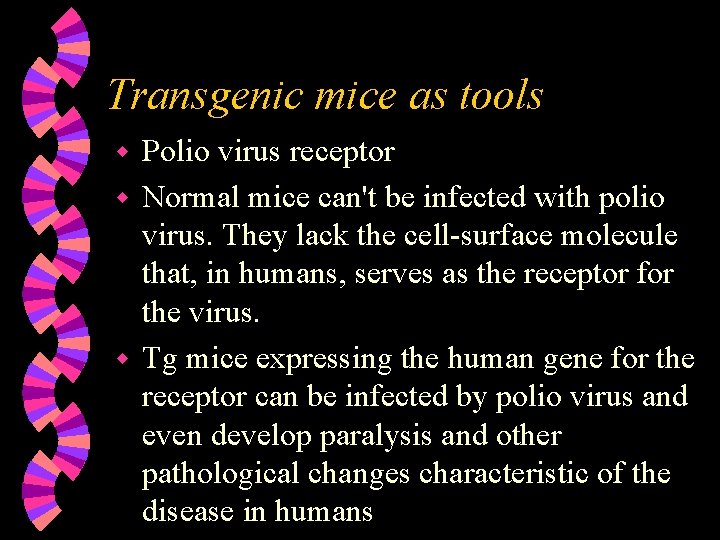 Transgenic mice as tools Polio virus receptor w Normal mice can't be infected with