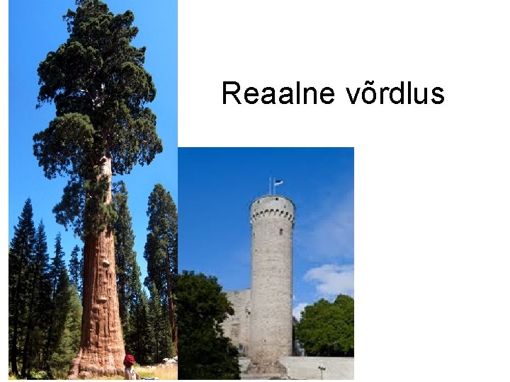 Reaalne võrdlus 