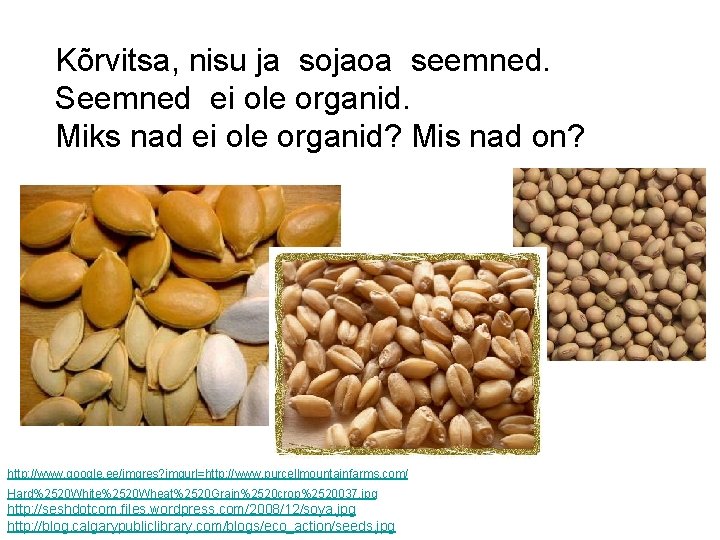 Kõrvitsa, nisu ja sojaoa seemned. Seemned ei ole organid. Miks nad ei ole organid?