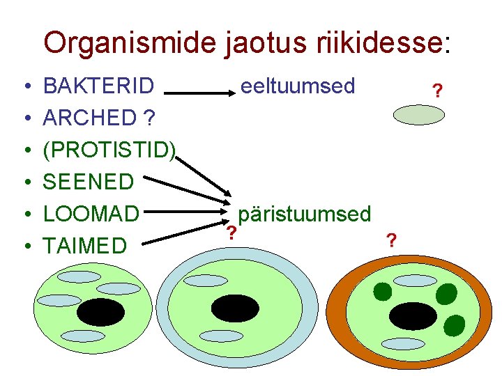 Organismide jaotus riikidesse: • BAKTERID eeltuumsed • ARCHED ? • (PROTISTID) • SEENED •