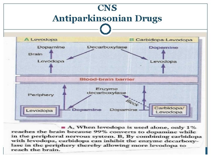 CNS Antiparkinsonian Drugs 