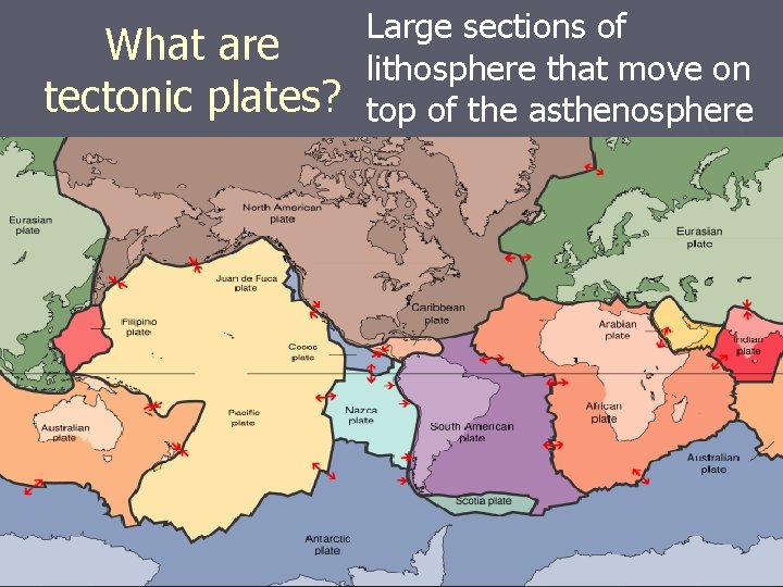 What are tectonic plates? Large sections of lithosphere that move on top of the