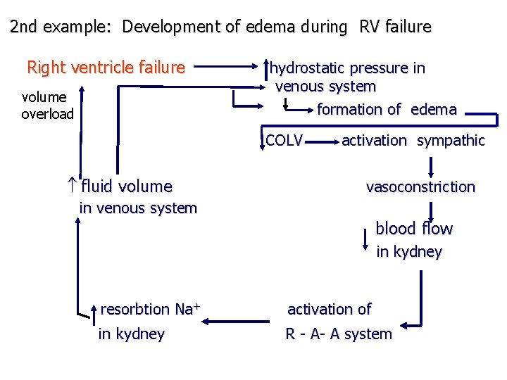 2 nd example: Development of edema during RV failure Right ventricle failure volume overload