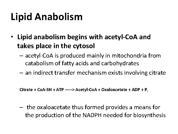 Lipid Anabolism • Lipid anabolism begins with acetyl-Co. A and takes place in the Lipid Anabolism • Lipid anabolism begins with acetyl-Co. A and takes place in the