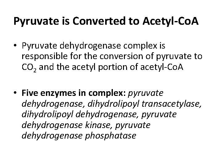 Pyruvate is Converted to Acetyl-Co. A • Pyruvate dehydrogenase complex is responsible for the Pyruvate is Converted to Acetyl-Co. A • Pyruvate dehydrogenase complex is responsible for the