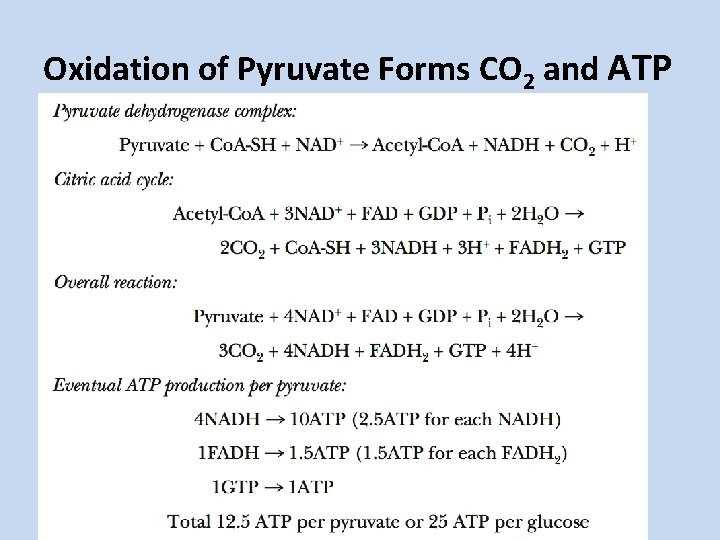 Oxidation of Pyruvate Forms CO 2 and ATP Oxidation of Pyruvate Forms CO 2 and ATP