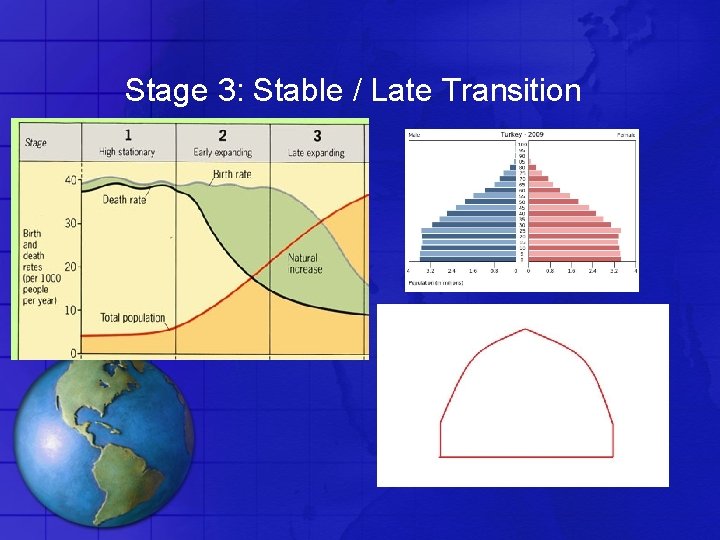 Stage 3: Stable / Late Transition 