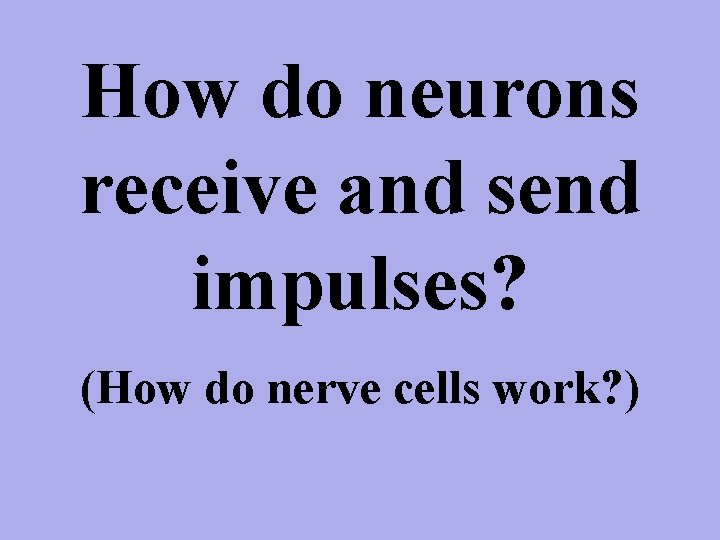 How do neurons receive and send impulses? (How do nerve cells work? ) 