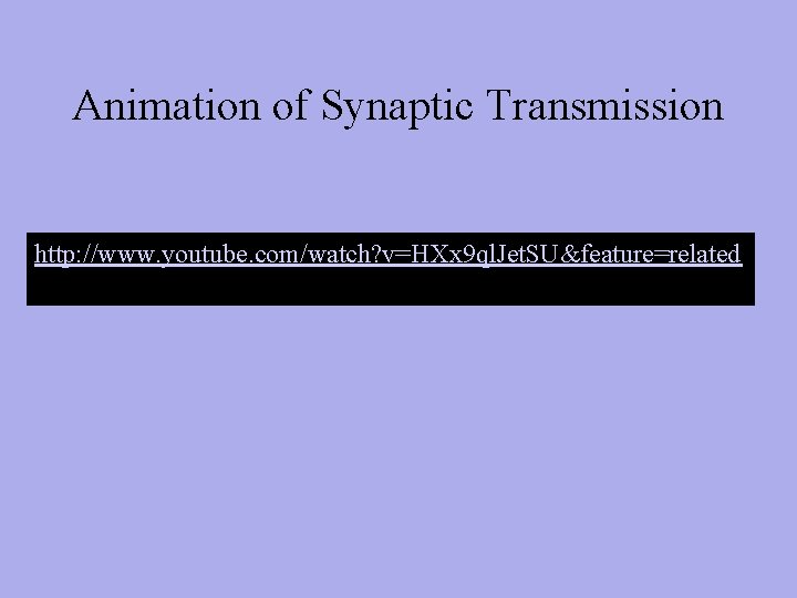 Animation of Synaptic Transmission http: //www. youtube. com/watch? v=HXx 9 ql. Jet. SU&feature=related 