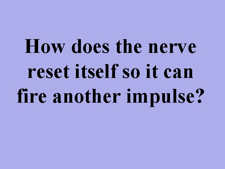 How does the nerve reset itself so it can fire another impulse? 