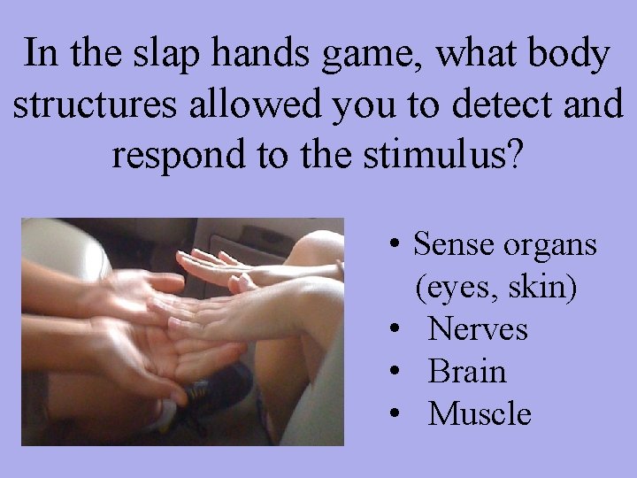 In the slap hands game, what body structures allowed you to detect and respond