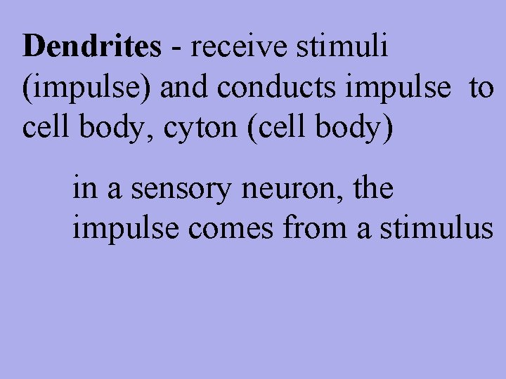 Dendrites - receive stimuli (impulse) and conducts impulse to cell body, cyton (cell body)