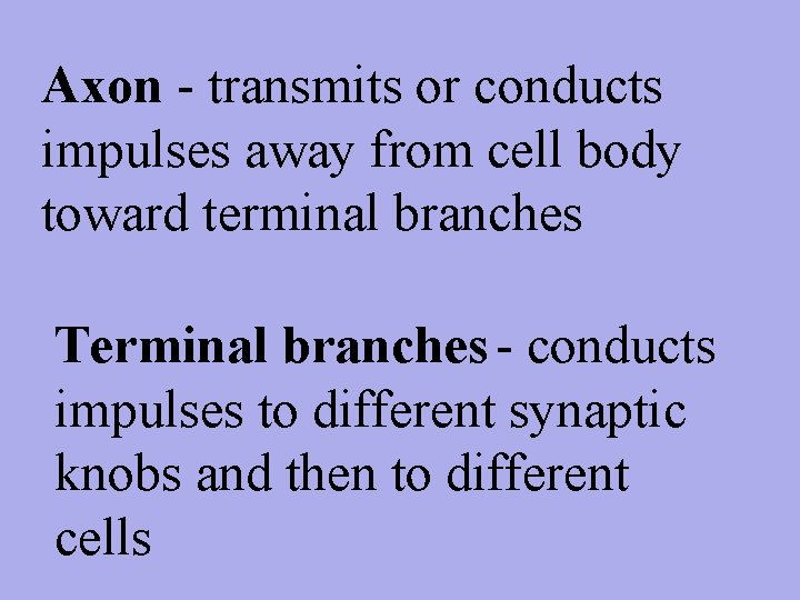 Axon - transmits or conducts impulses away from cell body toward terminal branches Terminal