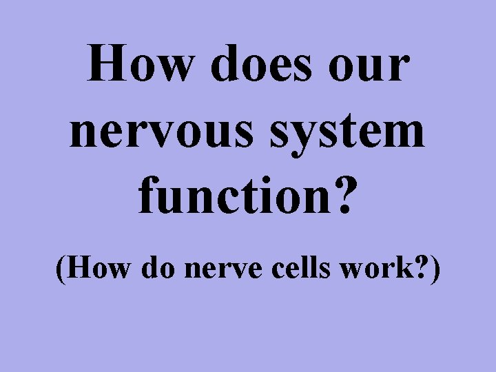 How does our nervous system function? (How do nerve cells work? ) 