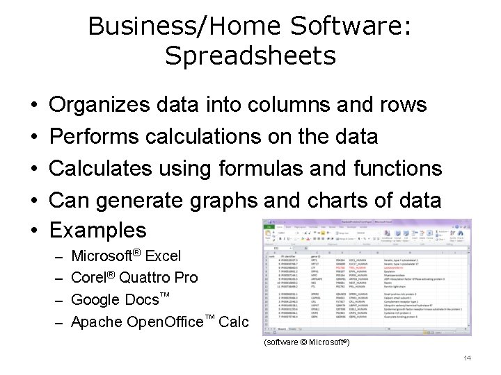 Business/Home Software: Spreadsheets • • • Organizes data into columns and rows Performs calculations