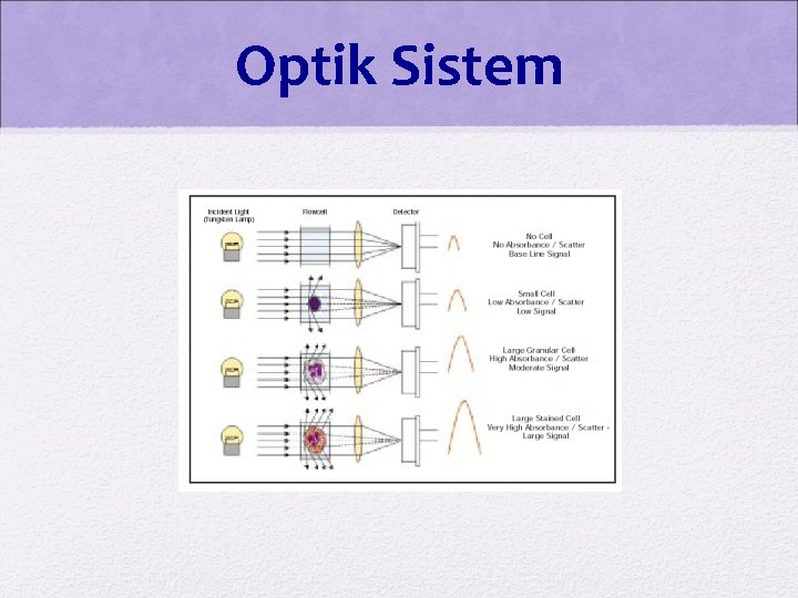 Optik Sistem 