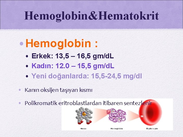 Hemoglobin&Hematokrit • Hemoglobin : • Erkek: 13, 5 – 16, 5 gm/d. L •