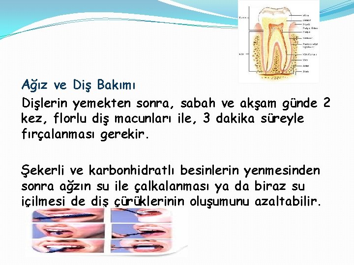 Ağız ve Diş Bakımı Dişlerin yemekten sonra, sabah ve akşam günde 2 kez, florlu