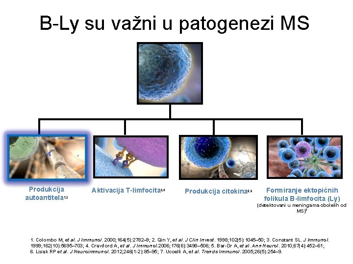 B-Ly su važni u patogenezi MS Produkcija autoantitela 1, 2 Aktivacija T-limfocita 3, 4