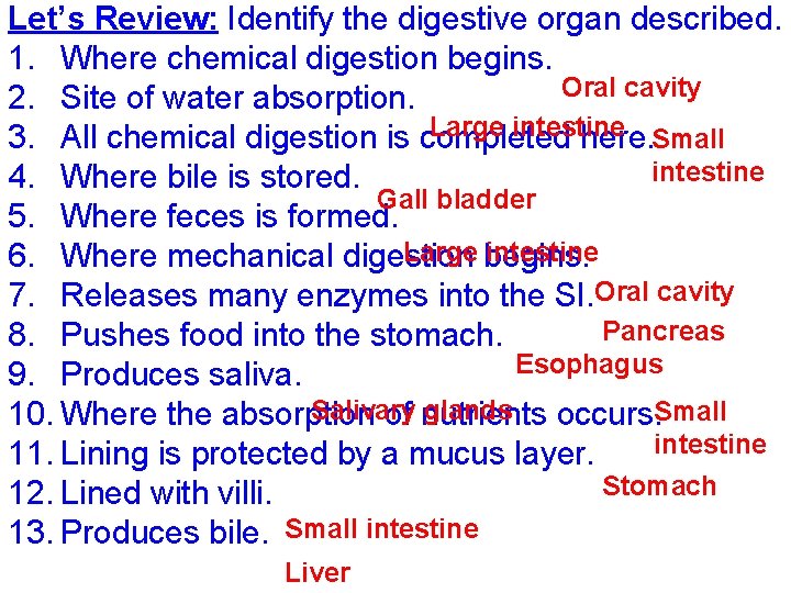 Let’s Review: Identify the digestive organ described. 1. Where chemical digestion begins. Oral cavity