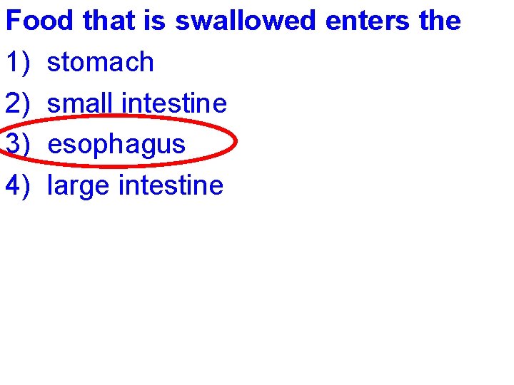 Food that is swallowed enters the 1) stomach 2) small intestine 3) esophagus 4)