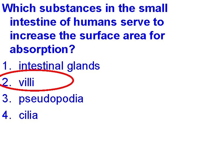 Which substances in the small intestine of humans serve to increase the surface area