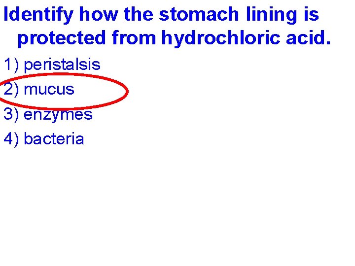 Identify how the stomach lining is protected from hydrochloric acid. 1) peristalsis 2) mucus